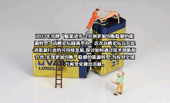 壳牌（中国）有限公司