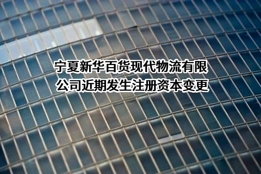 宁夏新华百货现代物流有限公司