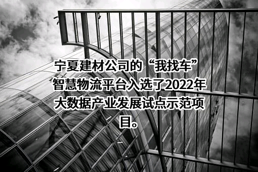 宁夏建材集团股份有限公司