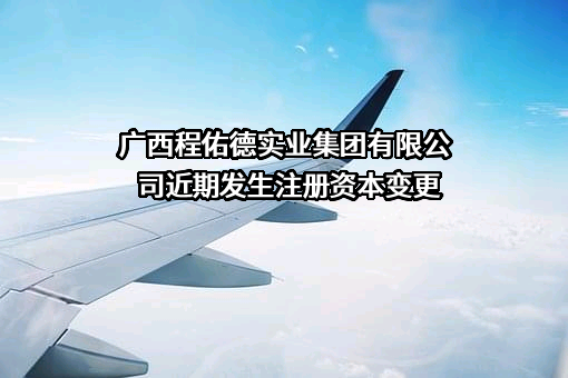 广西程佑德实业集团有限公司