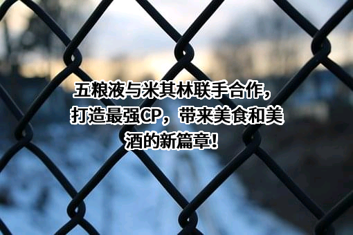 宜宾五粮液股份有限公司