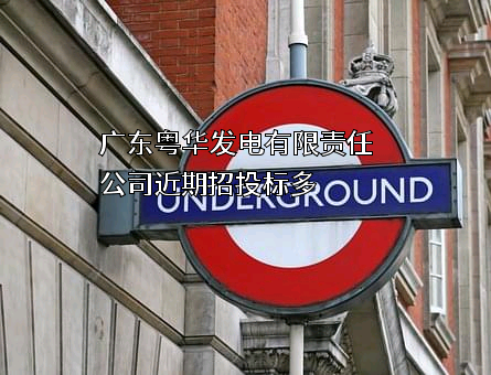 广东粤华发电有限责任公司