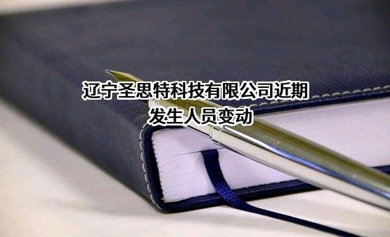 辽宁圣思特科技有限公司