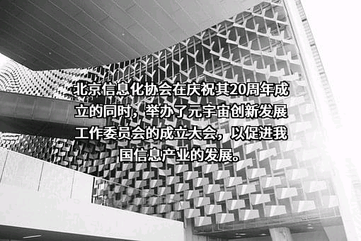 北京信息化协会