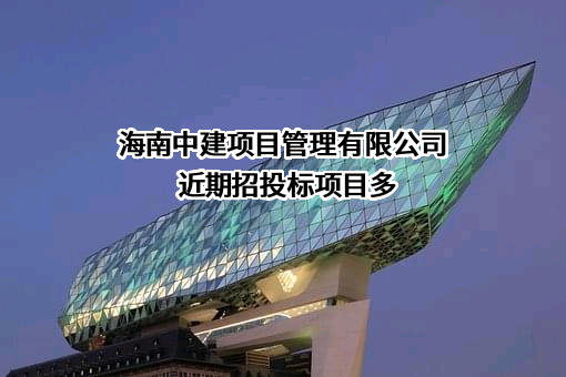 海南中建项目管理有限公司近期招投标项目多