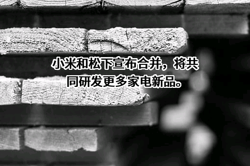 松下电器（中国）有限公司