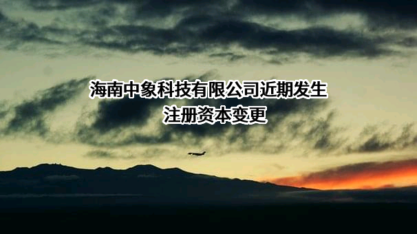海南中象科技有限公司