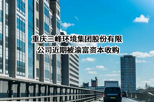 重庆三峰环境集团股份有限公司