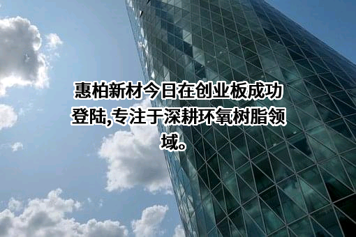 惠柏新材料科技（上海）股份有限公司