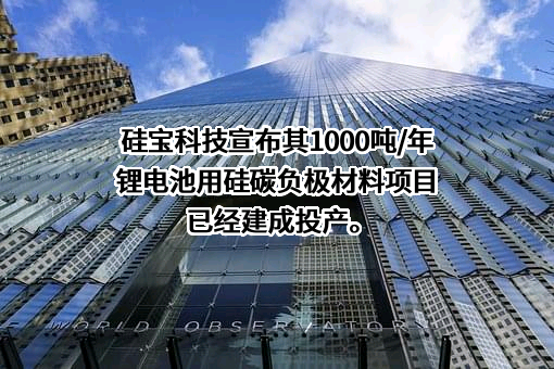 成都硅宝科技股份有限公司