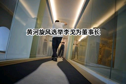 河南黄河旋风股份有限公司