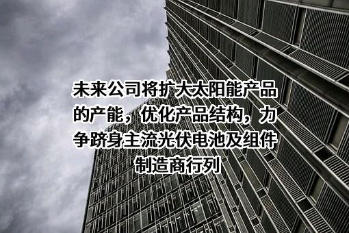 中节能太阳能股份有限公司