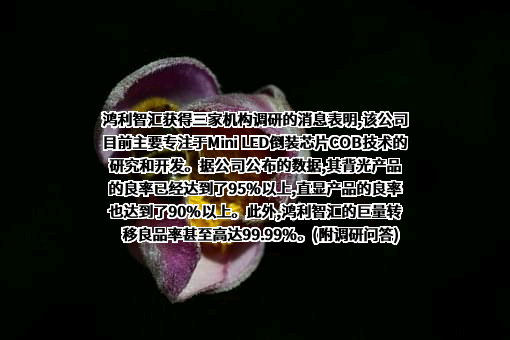 鸿利智汇集团股份有限公司