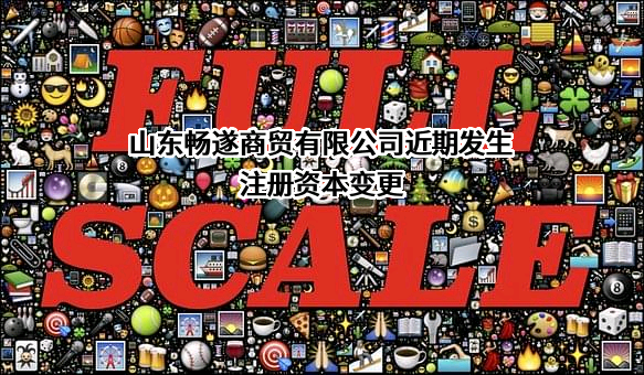 山东畅遂商贸有限公司