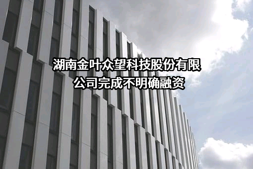 湖南金叶众望科技股份有限公司完成不明确融资