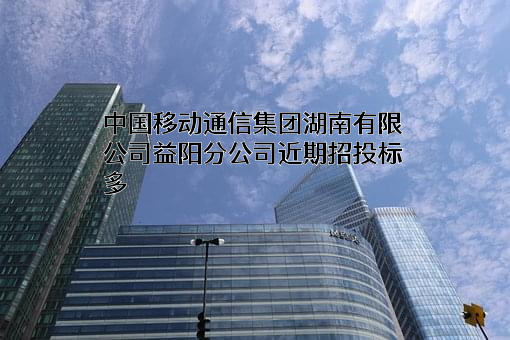 中国移动通信集团湖南有限公司益阳分公司