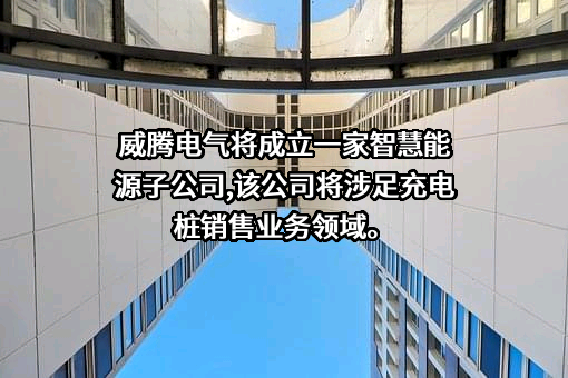 威腾电气集团股份有限公司