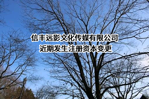 信丰远影文化传媒有限公司