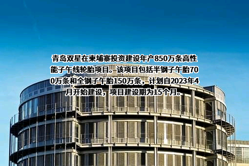 青岛双星股份有限公司