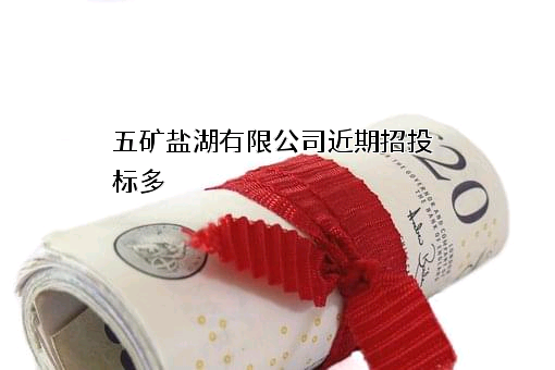 五矿盐湖有限公司
