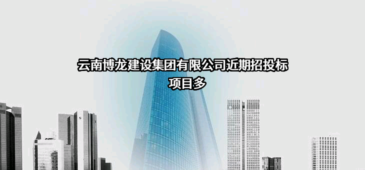 云南博龙建设集团有限公司近期招投标项目多