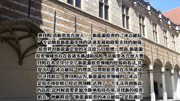 上海清新投资管理有限公司
