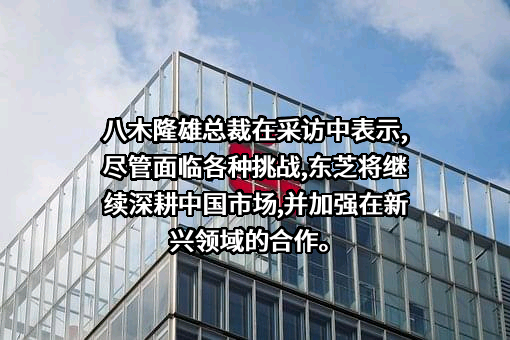 东芝（中国）有限公司