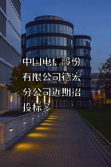 中国电信股份有限公司德宏分公司