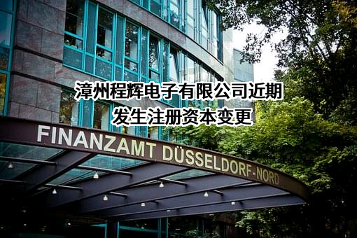 漳州程辉电子有限公司