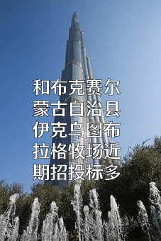 和布克赛尔蒙古自治县伊克乌图布拉格牧场
