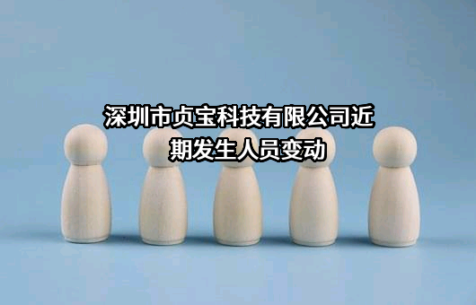深圳市贞宝科技有限公司