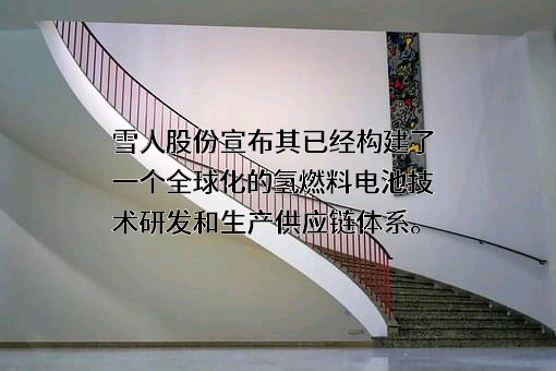 福建雪人股份有限公司