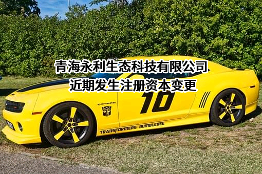 青海永利生态科技有限公司