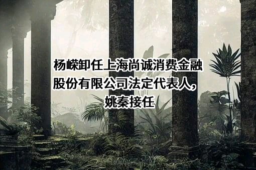上海尚诚消费金融股份有限公司