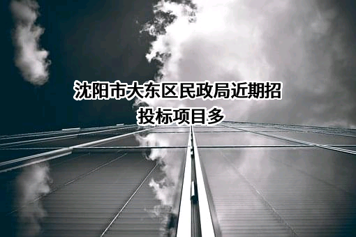 沈阳市大东区民政局
