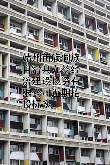 靖州苗族侗族自治县九苓经济建设投资有限公司