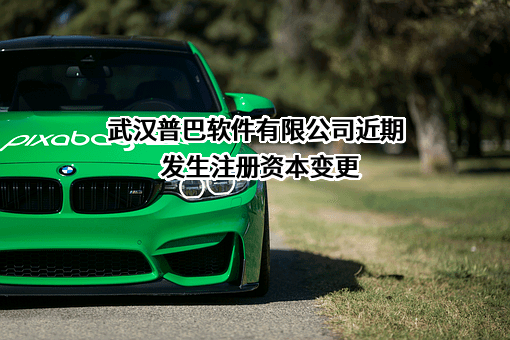 武汉普巴软件有限公司
