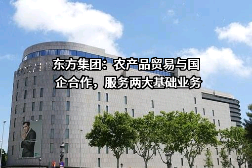 东方集团股份有限公司