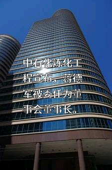 中石化炼化工程（集团）股份有限公司