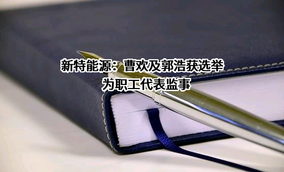 新特能源股份有限公司