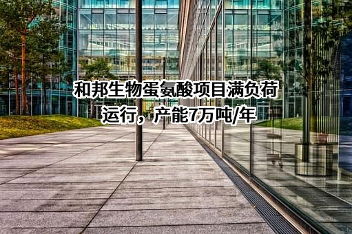 四川和邦生物科技股份有限公司
