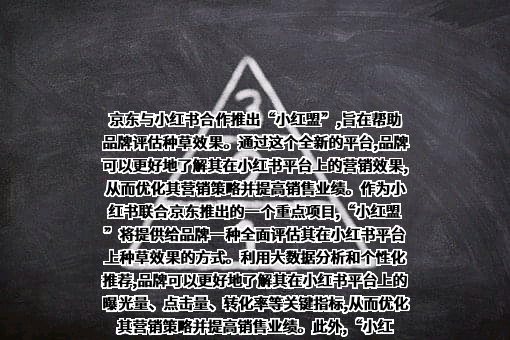 行吟信息科技（上海）有限公司