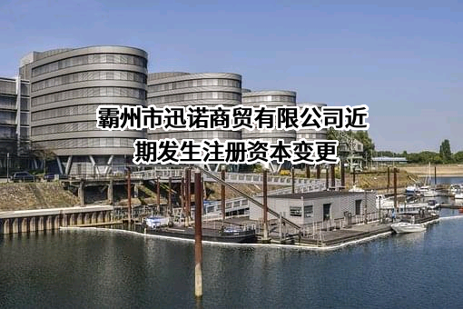 霸州市迅诺商贸有限公司