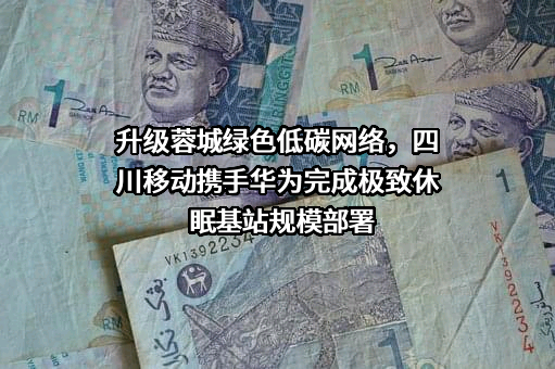 华为技术有限公司
