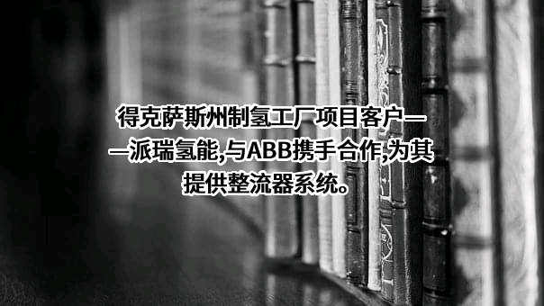 中船（邯郸）派瑞氢能科技有限公司