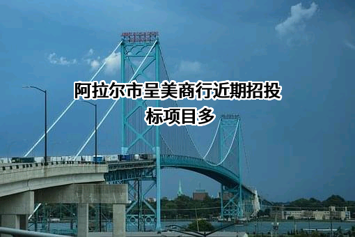 阿拉尔市呈美商行近期招投标项目多