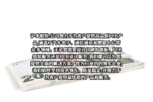 沪士电子股份有限公司