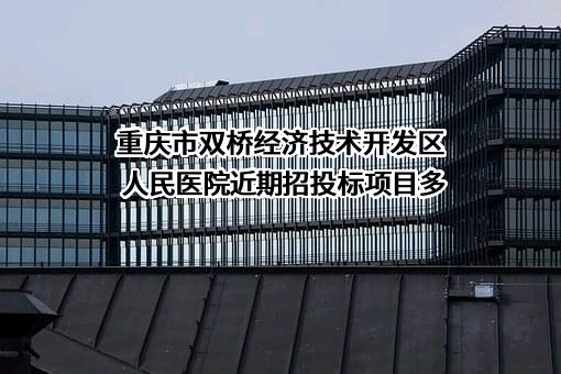 重庆市双桥经济技术开发区人民医院