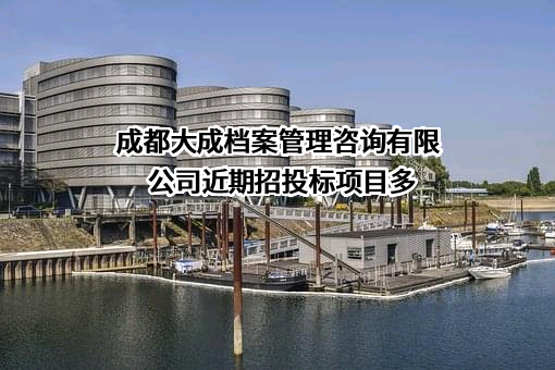 成都大成档案管理咨询有限公司