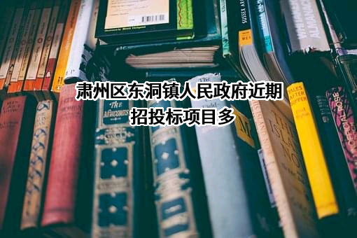 肃州区东洞镇人民政府